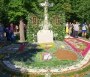 Virágszőnyeg