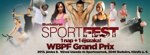 Budaörsi Sportfest 2013  - Budaörsi Sportfest