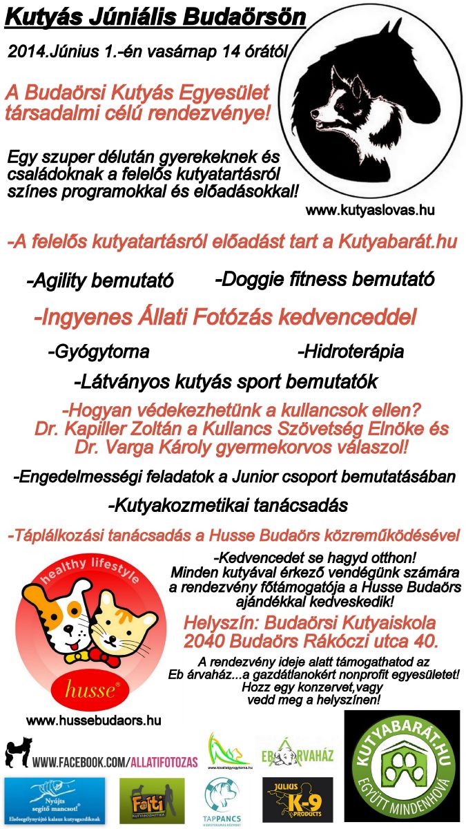 Kutyás Júniális Budaörsön